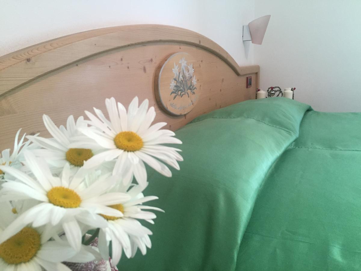 Hotel Tosa Madonna 外观 照片